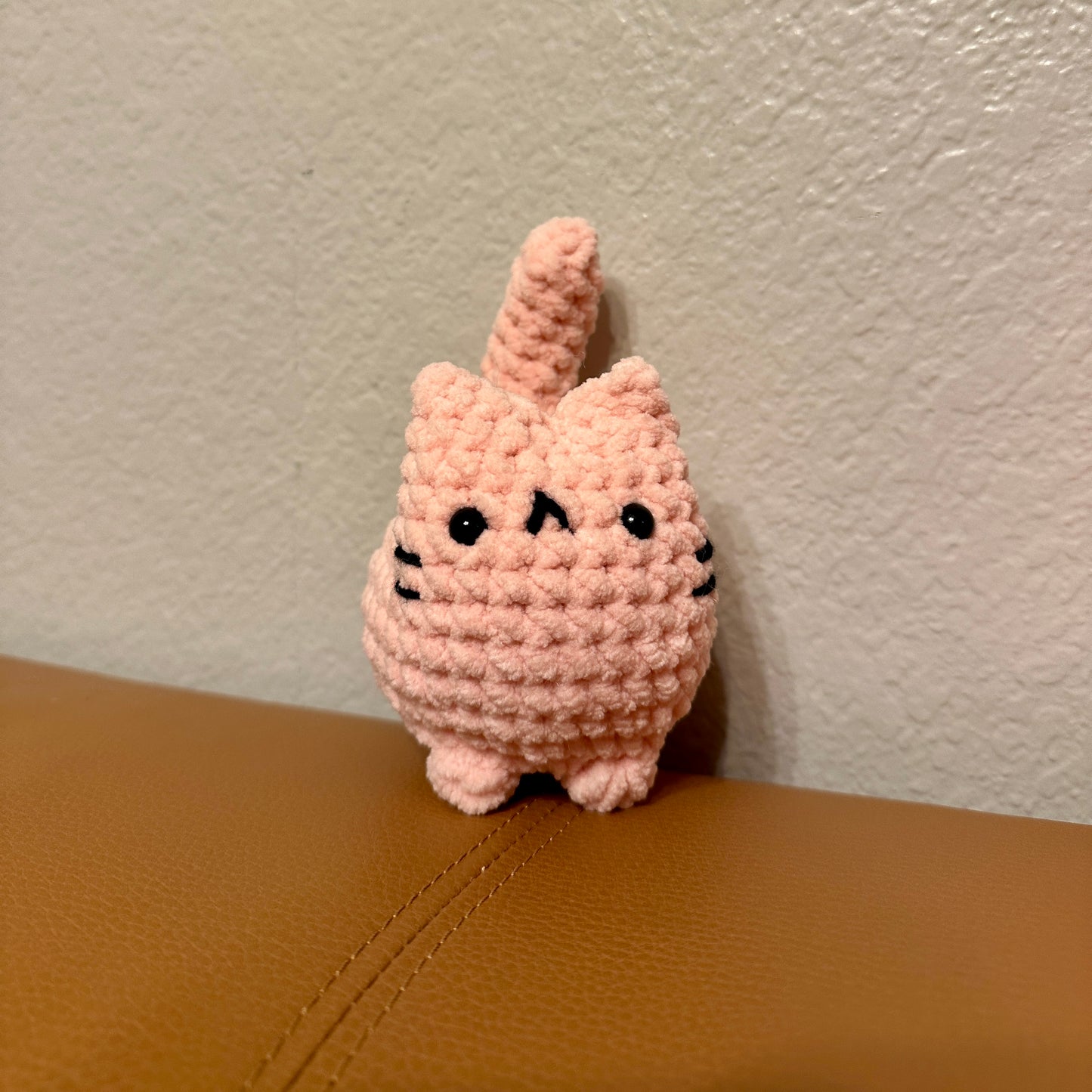 Momo the Cat
