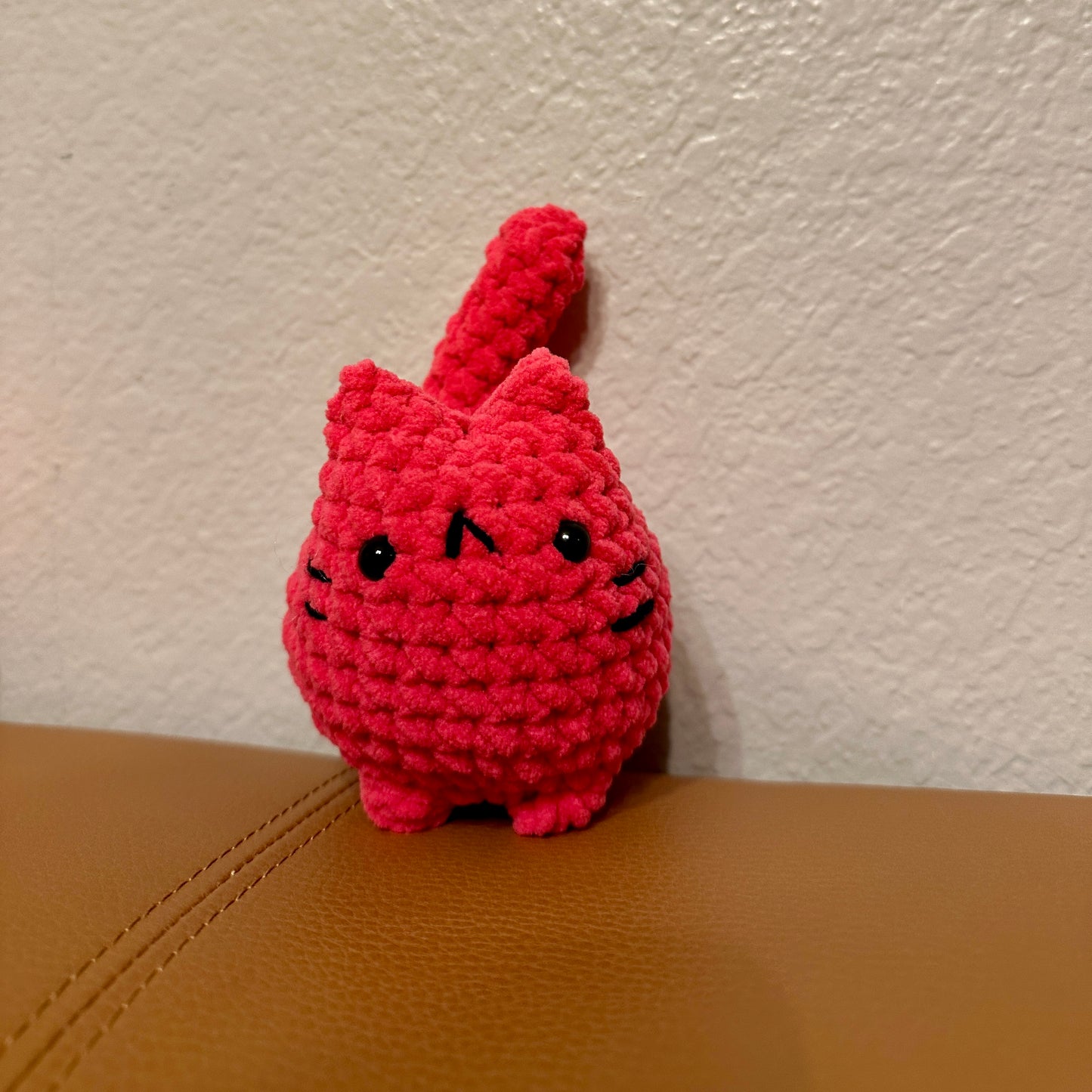 Momo the Cat