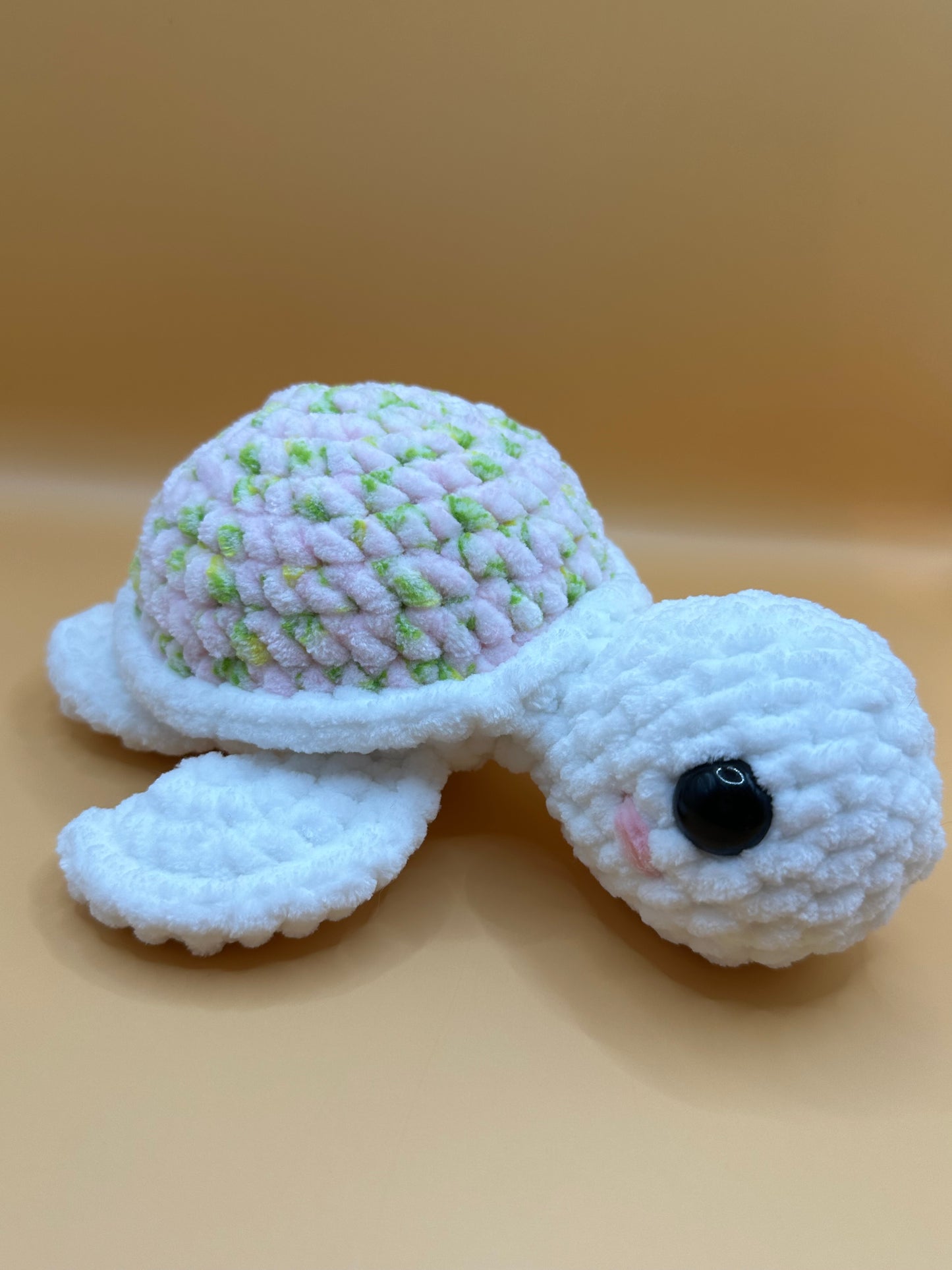 Sea Turtle Buddy