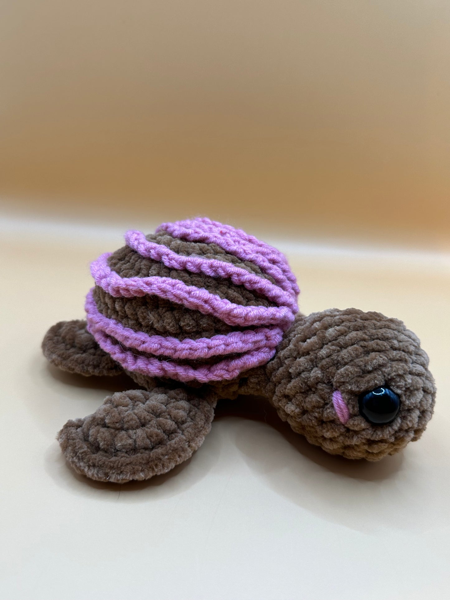 Sea Turtle Buddy