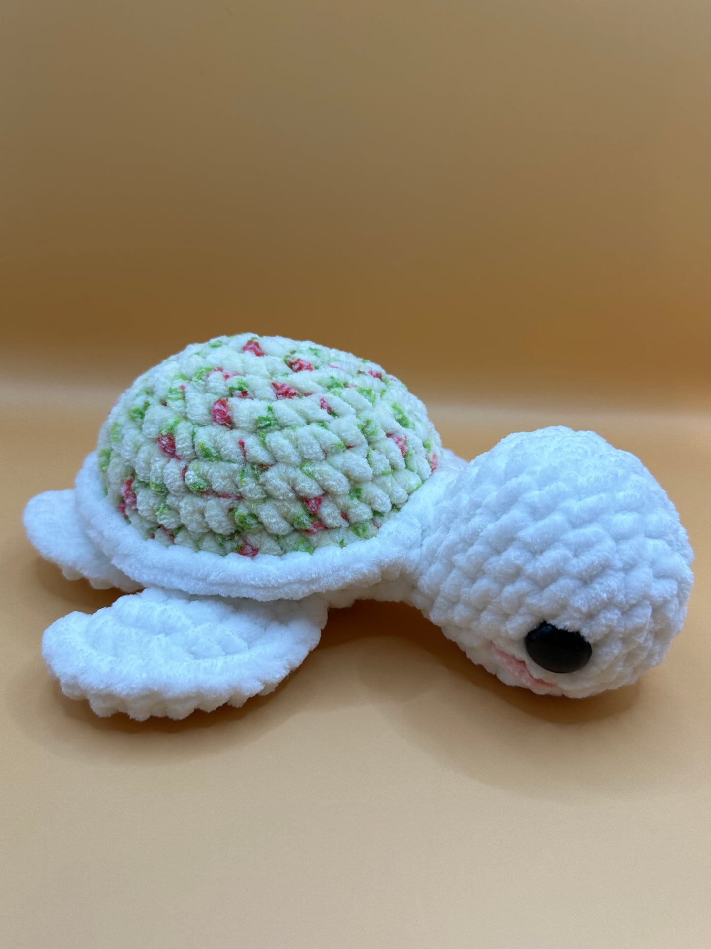 Sea Turtle Buddy