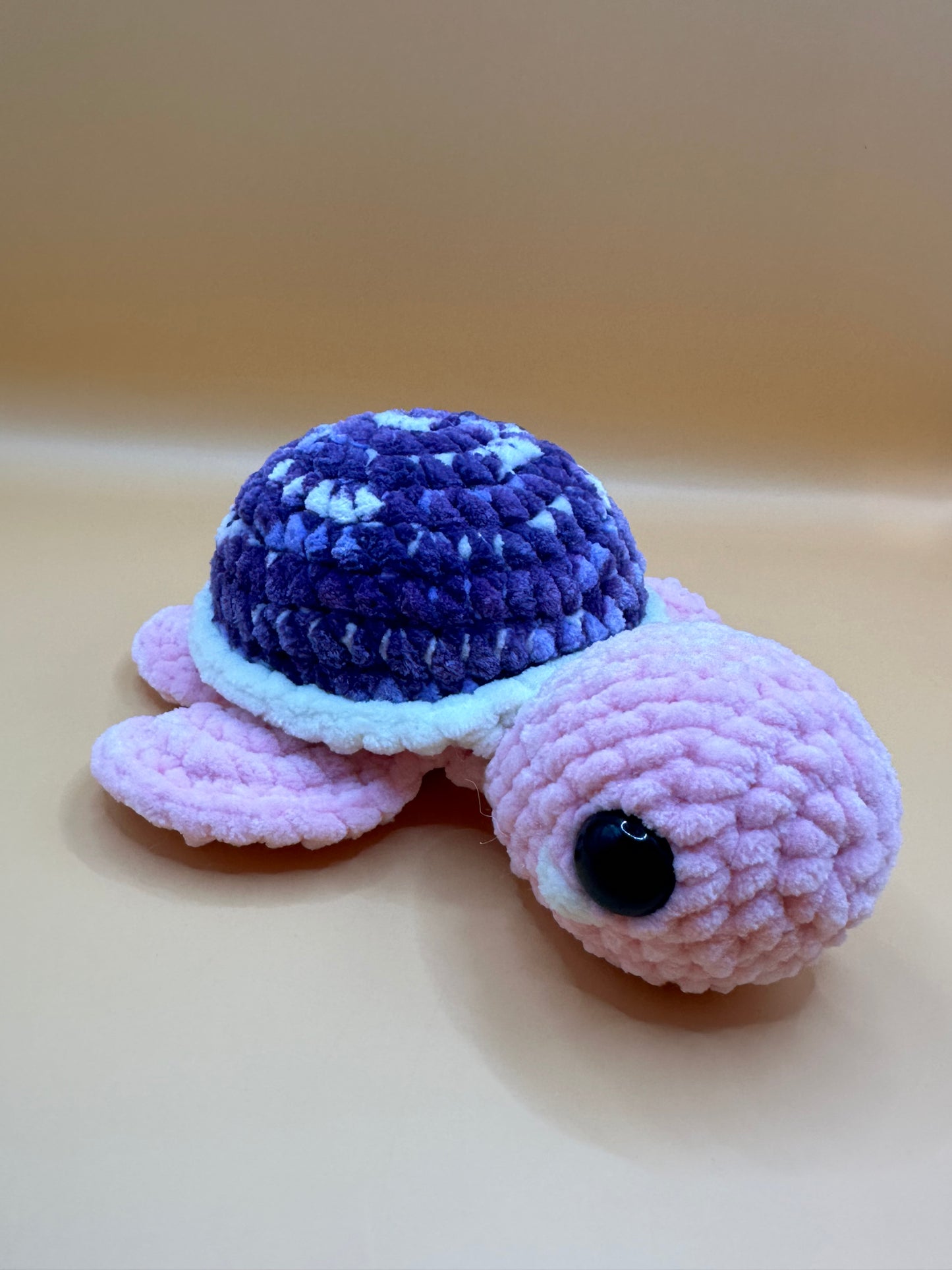 Sea Turtle Buddy
