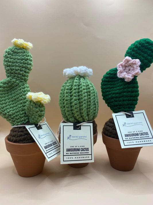 Cactus